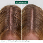 Biolage Scalp Sync purifying treatment label details