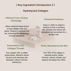 Korean skincare exosome and PDRN booster kit