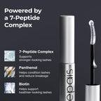 Applying Epais lash serum with ball tip applicator
