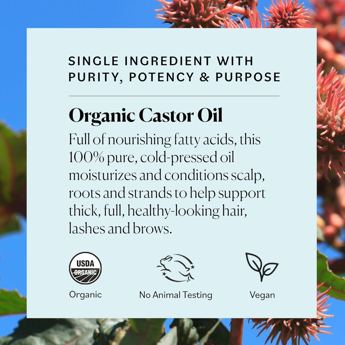 Sky Organics castor oil for brow and lash nourishment packaging details