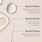 Detailed view of Nulastin elastin enhancing brow treatment 0.1 fluid ounce