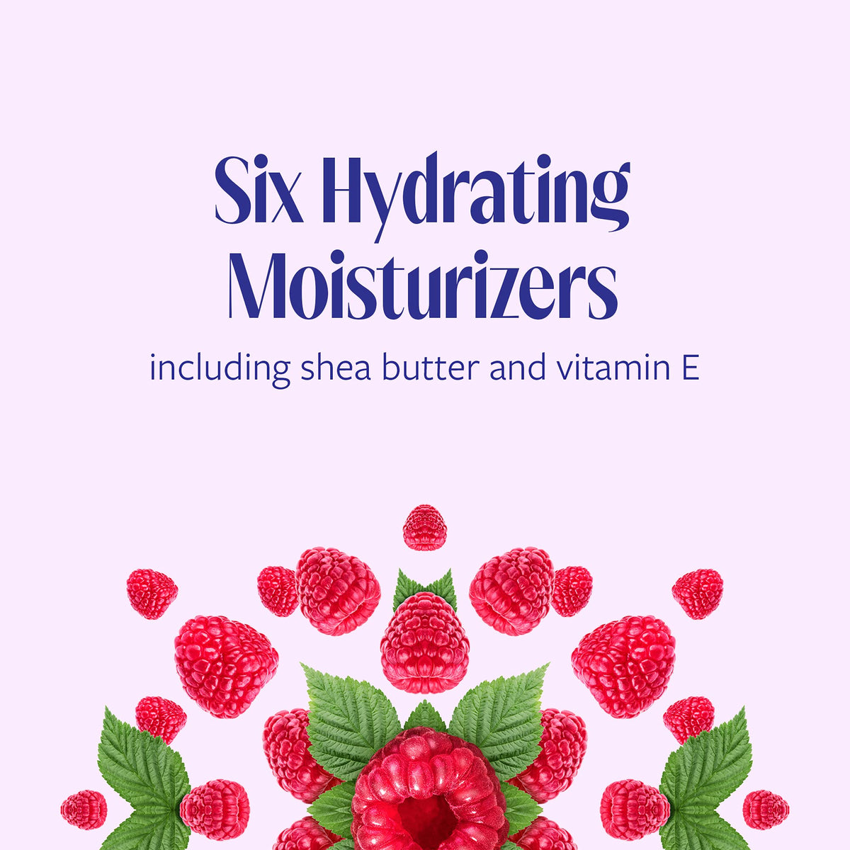 Skintimate Raspberry Rain Shave Gel packaging detail