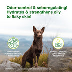Douxo S3 Seb Mousse for seborrhea and dandruff treatment