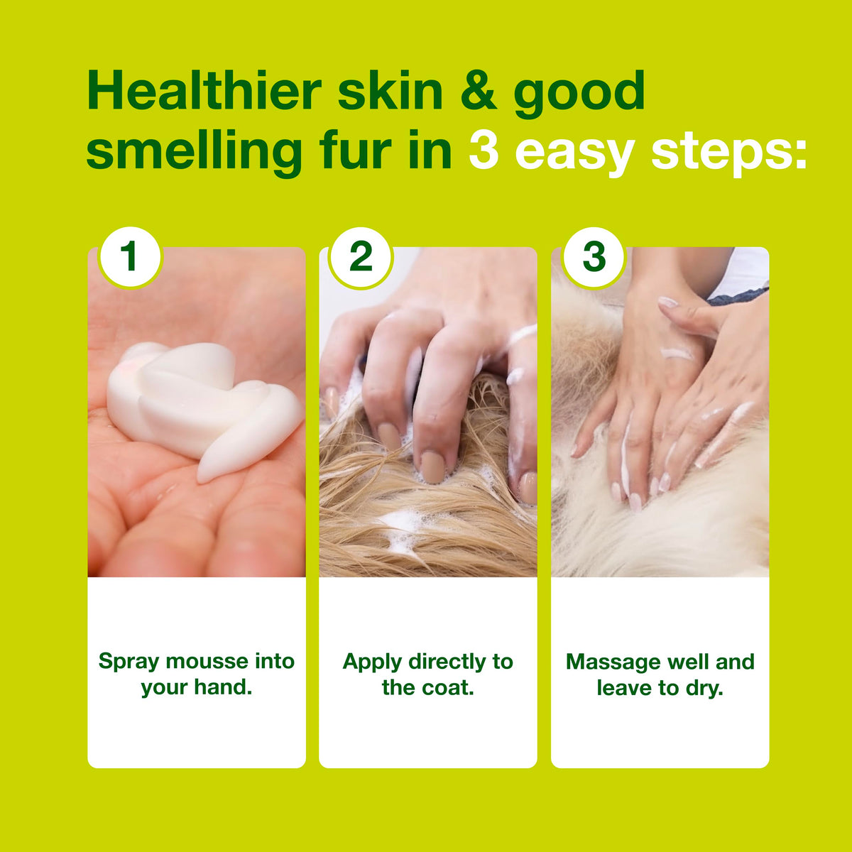 Douxo S3 Seb Mousse for odor control and seboregulating