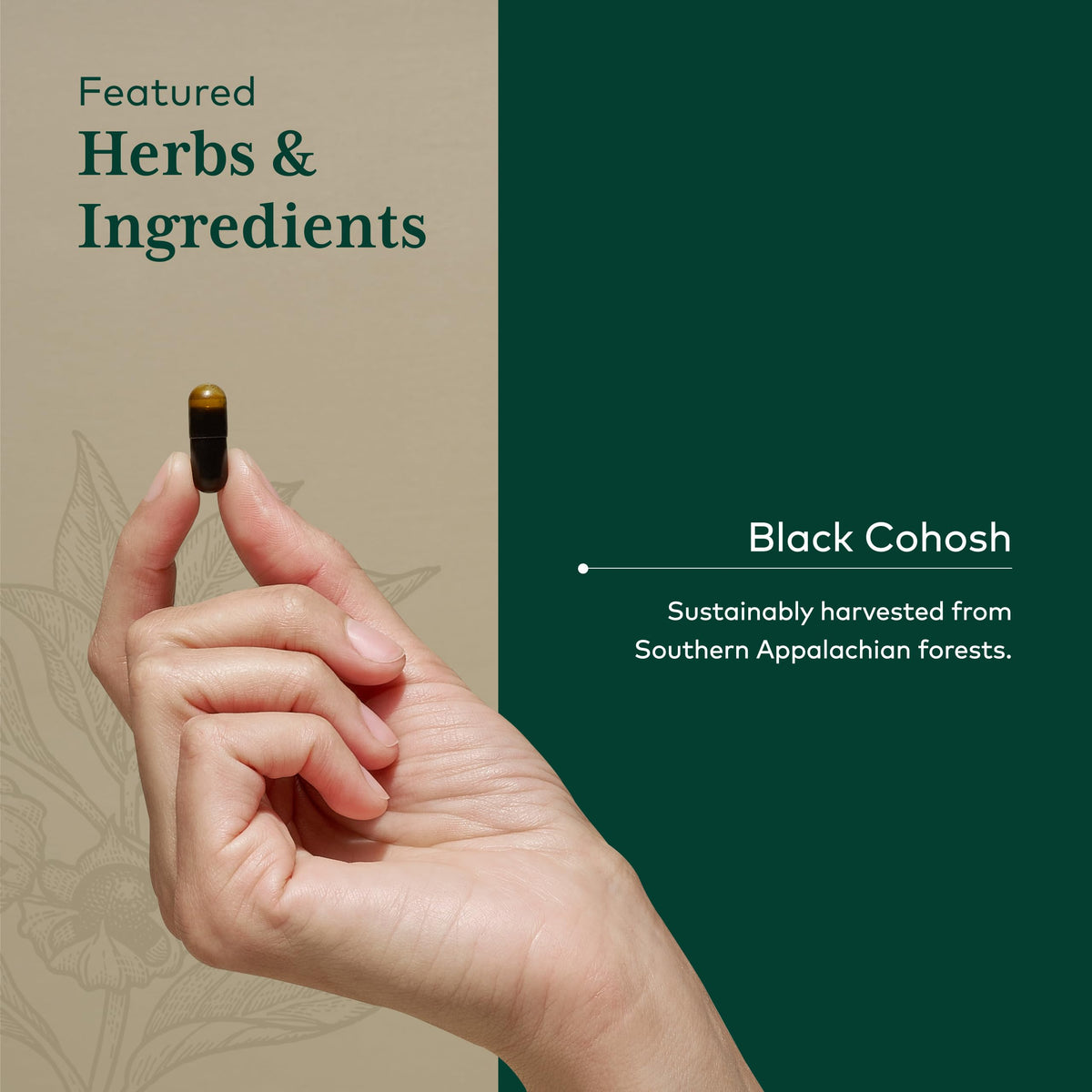 Gaia Herbs Pro Black Cohosh branding and dosage information