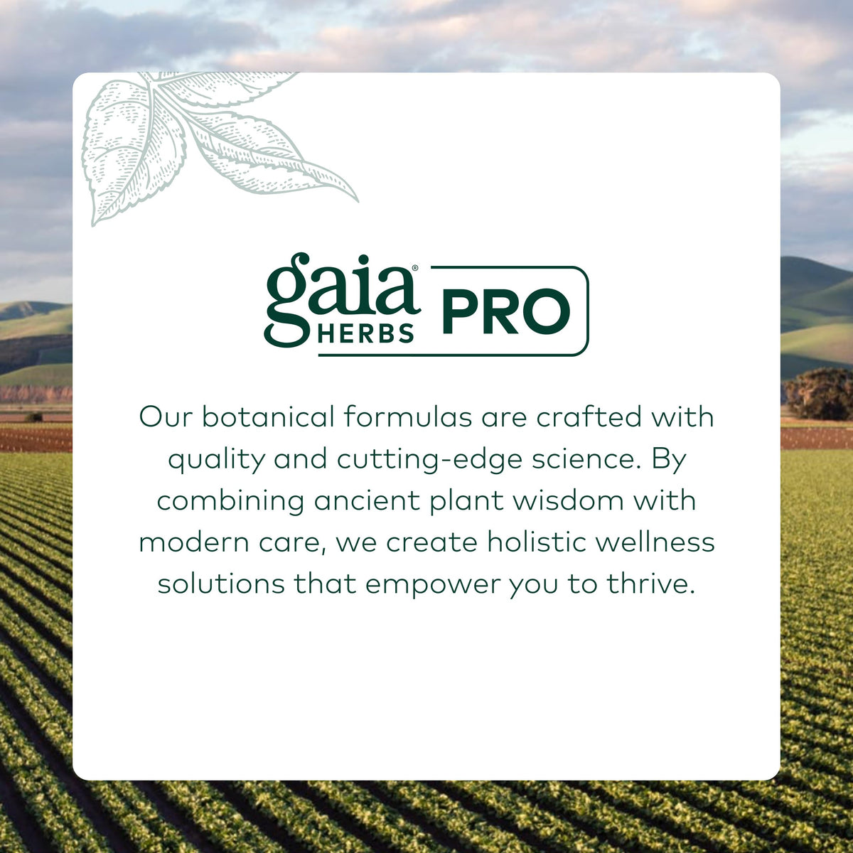 Gaia Herbs Pro Black Cohosh 60 count bottle packaging