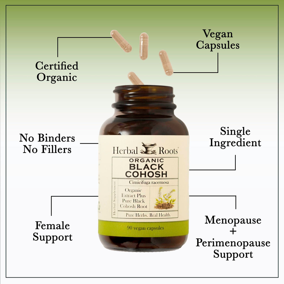Supplement facts panel on Herbal Roots black cohosh bottle