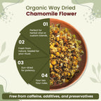 Spoonful of high quality non GMO whole chamomile flowers ready for infusion.