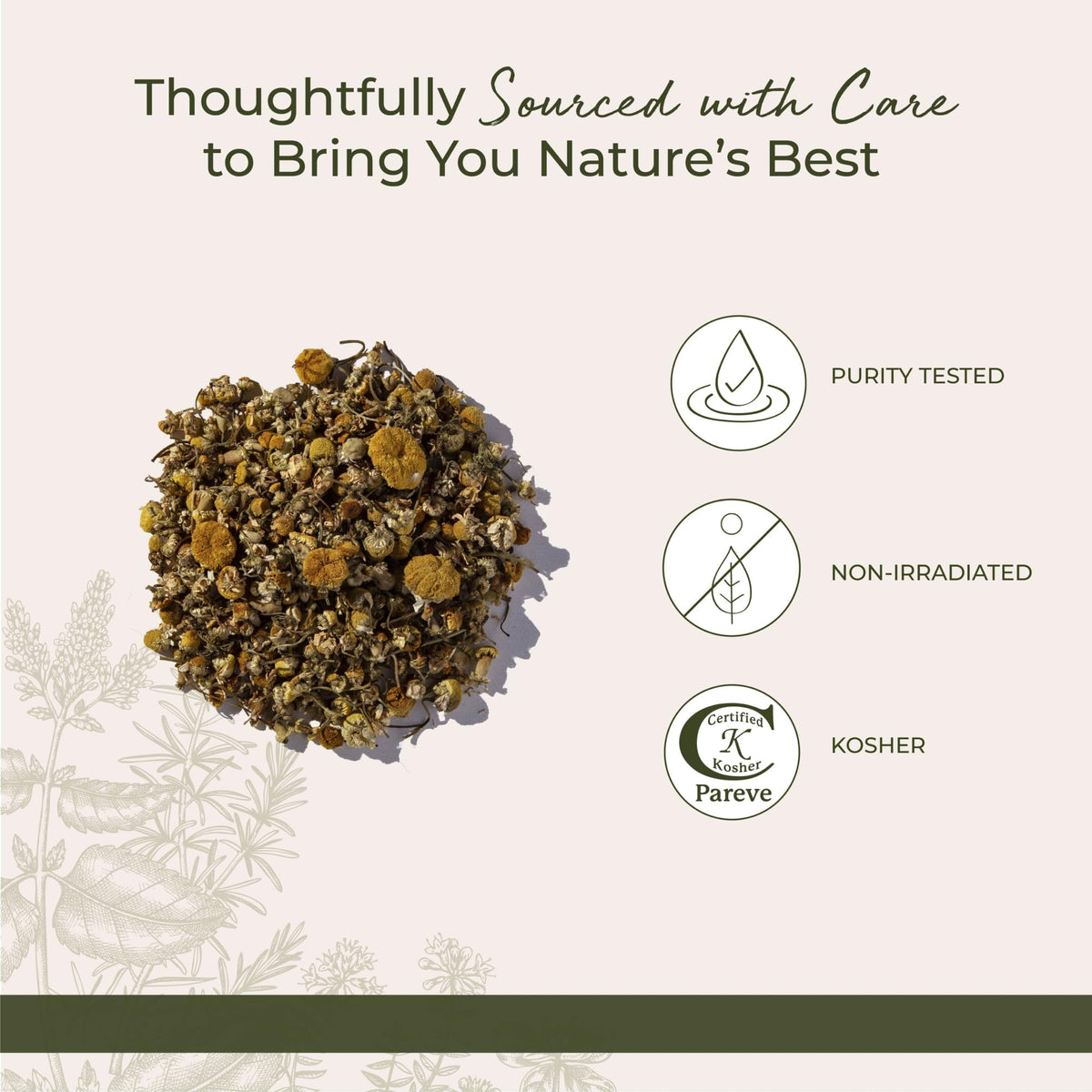 A cup of brewed golden chamomile herbal tea alongside loose Starwest Botanicals whole flower leaves.