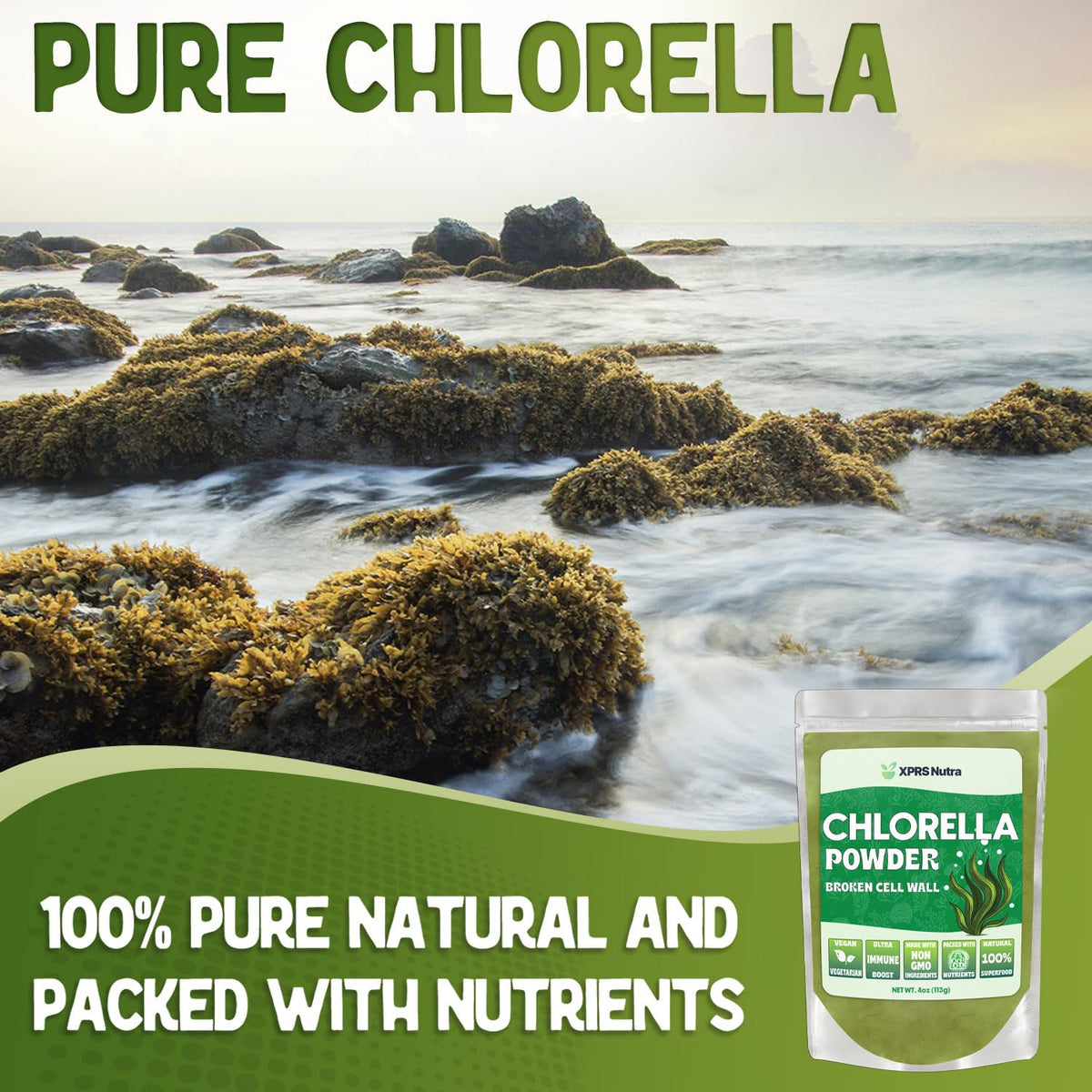 Scoop of XPRS Nutra chlorella powder showing fine consistency