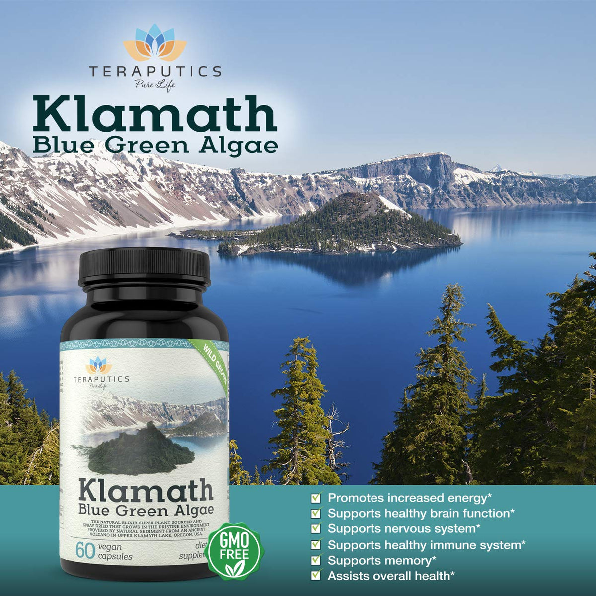 Supplement facts panel on Teraputics Klamath Lake algae bottle