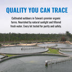 On Target Living algae blend ingredients list and purity