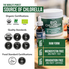 Organic Chlorella Powder texture and consistency