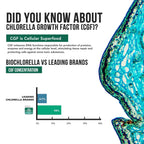 Raw sun-grown chlorella powder in a scoop