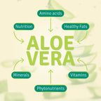 Side view of Aloe Life natural digestive aid liquid bottle with gluten free and organic certifications