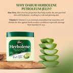Close up of Dabur Herbolene Aloe Vera Petroleum Jelly texture
