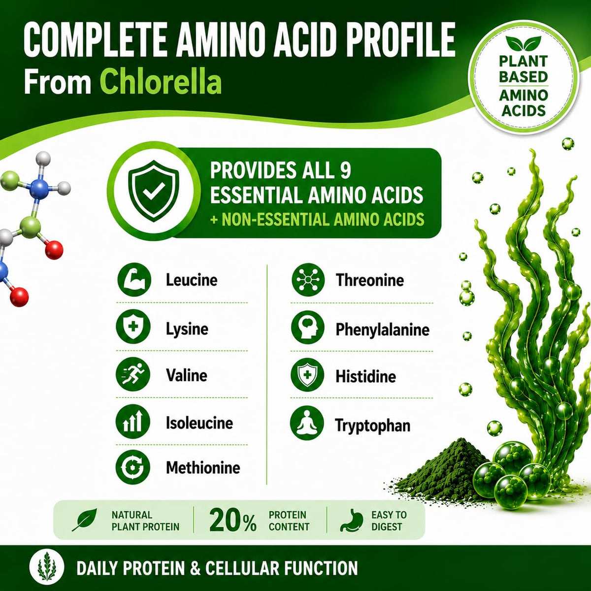 Premium blue green algae chlorella supplement bottle