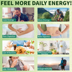Oviaapo Greens Gummies daily serving size information