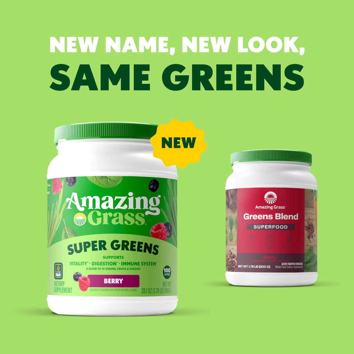 Amazing Grass Greens Blend Berry flavor scoop and powder texture