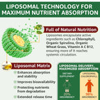 Premium USA imported 6-in-1 liquid greens supplement packaging details.