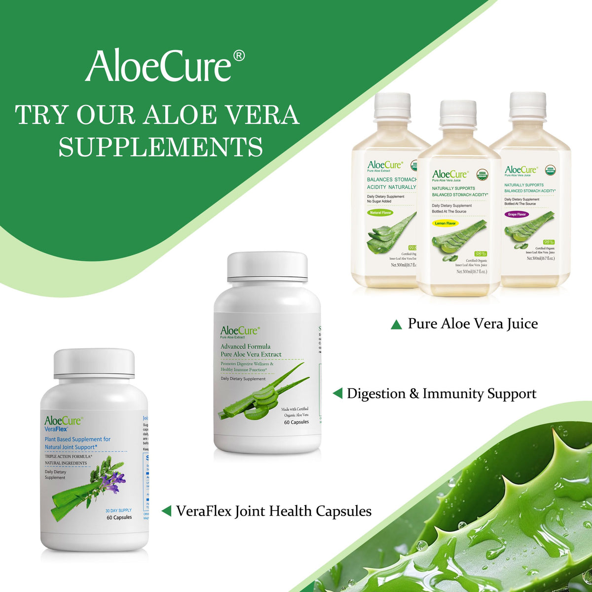 AloeCure organic aloe vera extract juice for digestive health