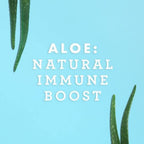 Lily of the Desert aloe vera juice bottle with wellness icons