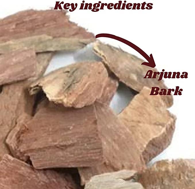 Raw dried Arjuna tree bark pieces showing natural texture and premium quality.