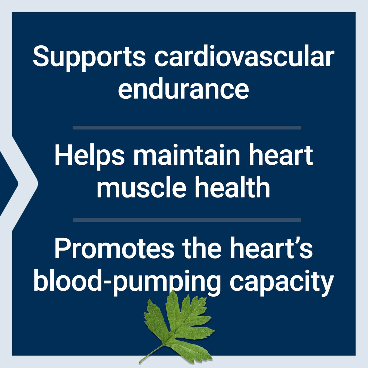 Life Extension Cardio Peak nutritional facts showing 400 mg Oxyjun arjuna bark extract.