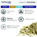 Superior Labs Artichoke Leaf Extract bottle showcasing liver support and fat metabolism benefits.