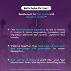 Vegetarian capsule close up of Vital Peak Artichoke Extract