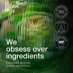 Close up of high potency 5 percent cynarine standardized artichoke leaf capsules from Toniiq USA