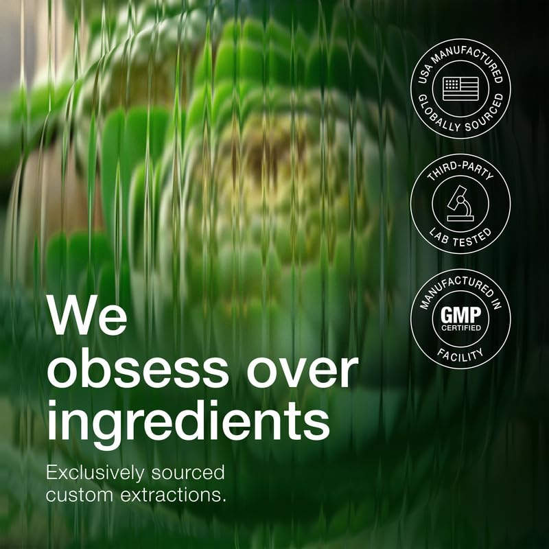 Close up of high potency 5 percent cynarine standardized artichoke leaf capsules from Toniiq USA