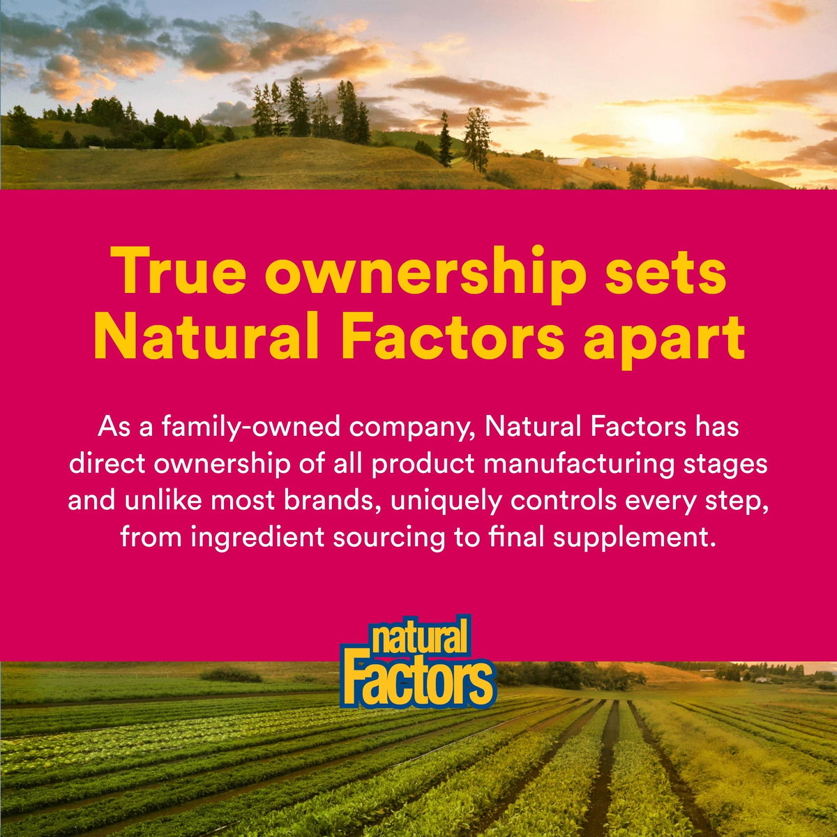 Natural Factors CranRich Cranberry dietary supplement highlighting the sugar free alternative to cranberry juice