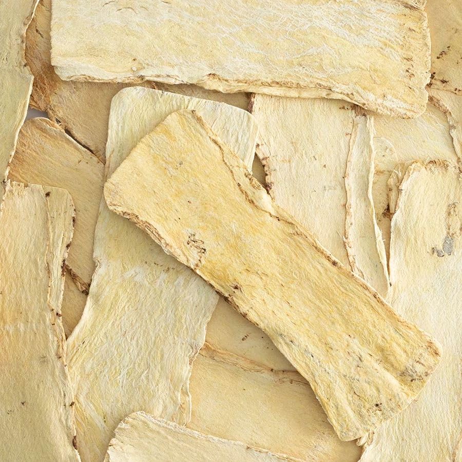 Dried authentic astragalus root slices close up for herbal tea preparation