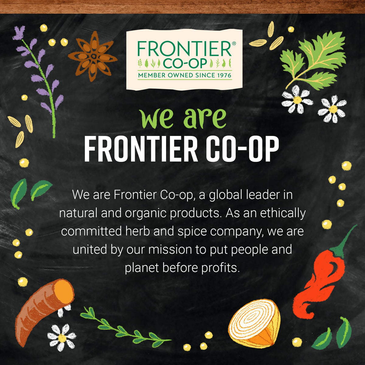 Frontier Co-op bulk astragalus root slices packaging back view