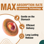 Zenixzephir Liposomal Brain supplement label showing 2000 micrograms potency