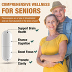 Top view of Zenixzephir supplement bottle for memory and focus