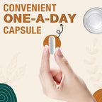Detailed view of Zenixzephir Liposomal Plasmalogen bottle seal and cap