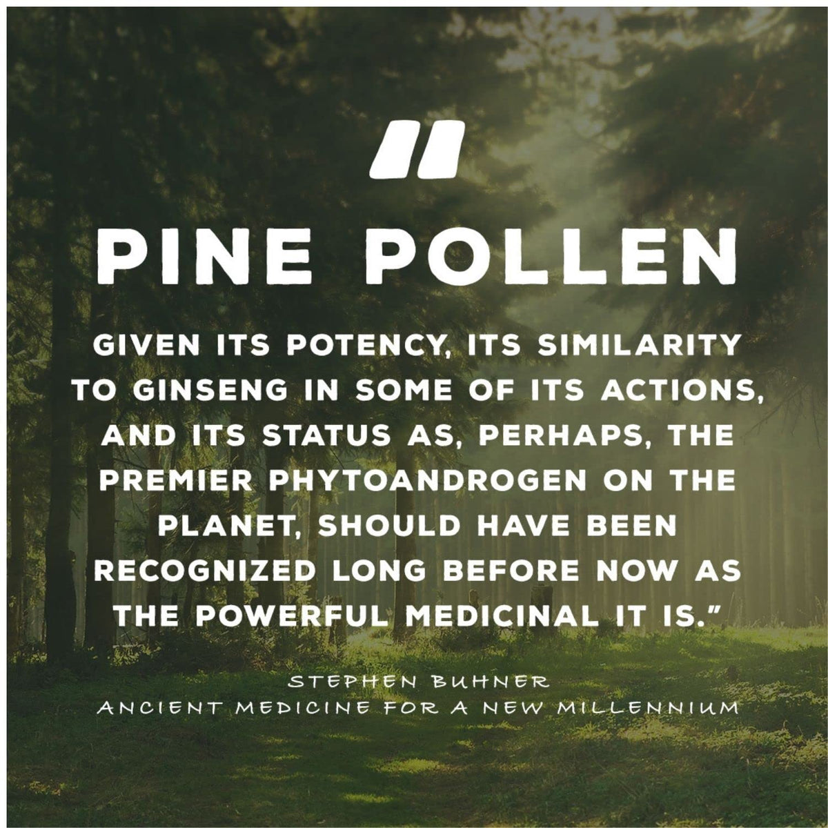 Surthrival Pine Pollen advanced phyto-androgenic formula 50ml bottle for energy and stamina boost.
