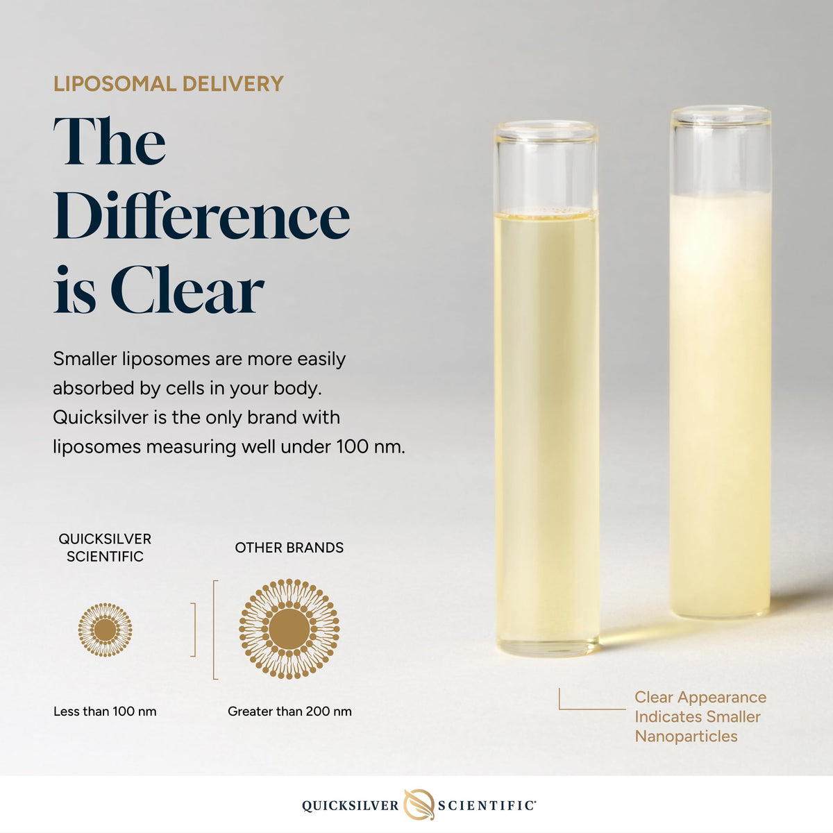 Close up view of the dropper cap assembly on the Quicksilver Scientific Kidney Care bottle illustrating simple and accurate dosing.