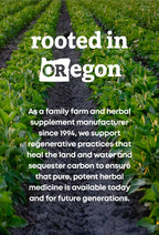 Vegan capsule form of Oregons Wild Harvest astragalus root powder demonstrating small batch quality
