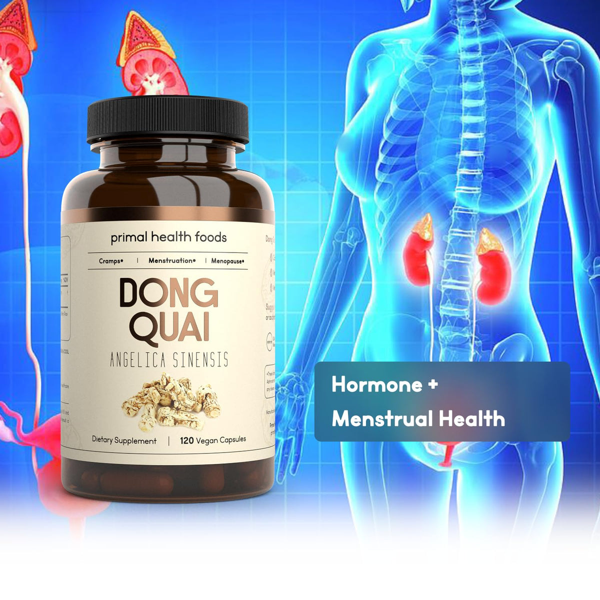 Close up of the vegan friendly seal on the Primal Health female reproductive health supplement packaging