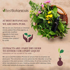 Best Botanicals Angelica Sinensis root powder nutritional supplement packaging label detail