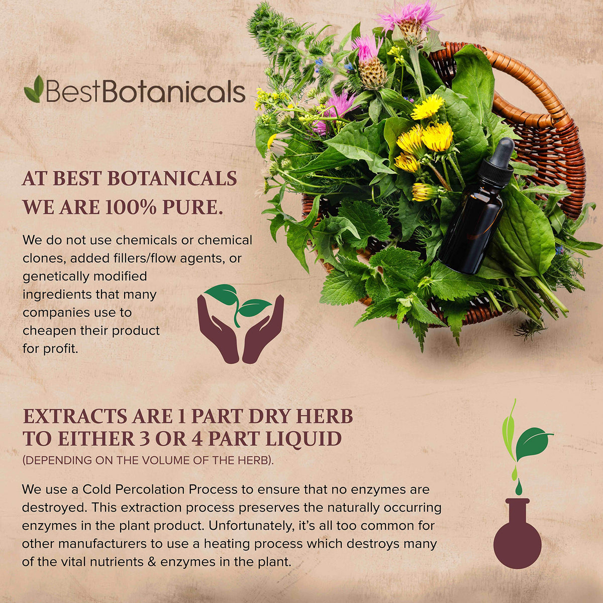 Best Botanicals Angelica Sinensis root powder nutritional supplement packaging label detail