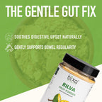 Pure non-GMO gluten-free vegan Bael fruit powder jar for intestinal health