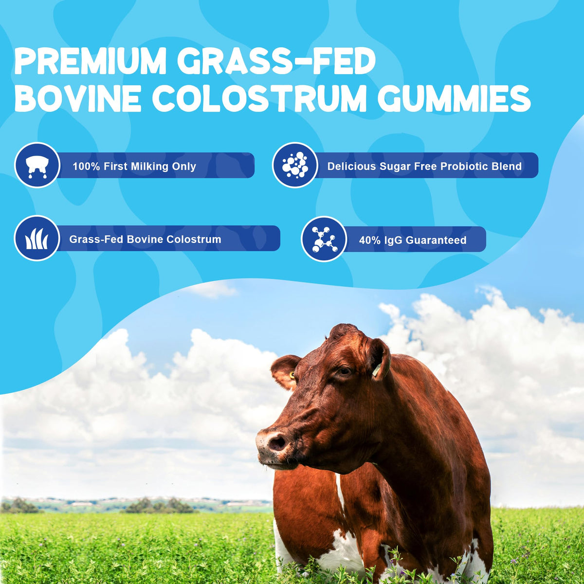 Premium grass fed bovine colostrum gummies with forty percent IgG text detail
