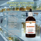Hawaii Pharm brand Vaccinium myrtillus dried leaf concentrated dietary supplement demonstrating packaging dimensions and product authenticity markers.