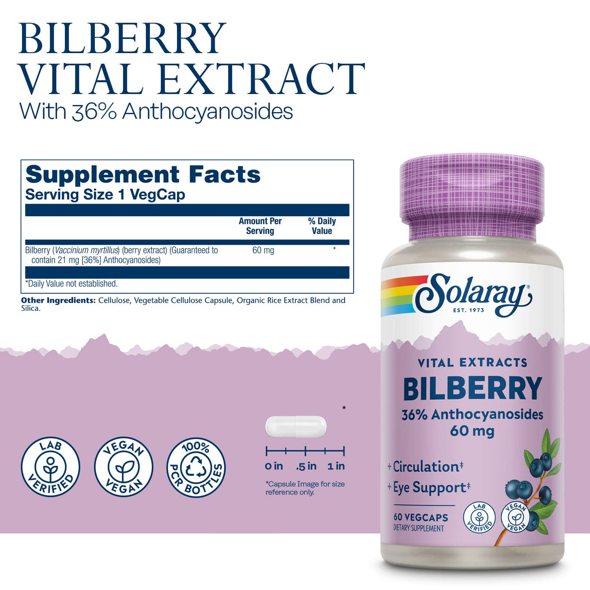 Solaray standardized vegan bilberry antioxidant supplement nutrition facts label