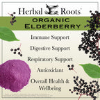 Premium USA imported black elderberry antioxidant supplement bottle for cold and flu defense.