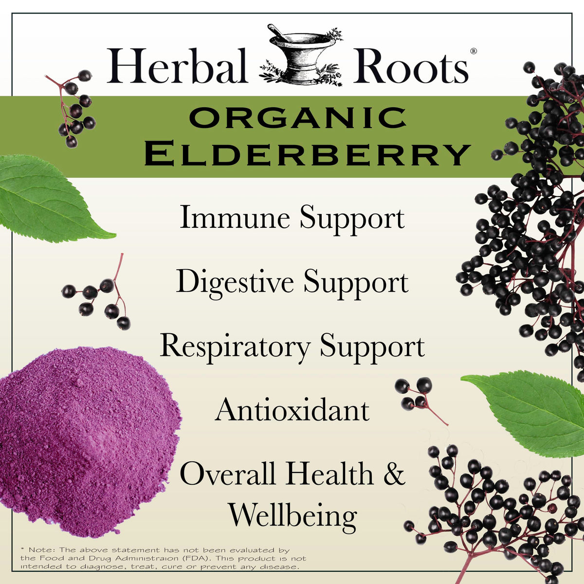 Premium USA imported black elderberry antioxidant supplement bottle for cold and flu defense.
